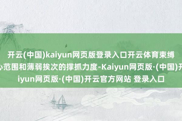 开云(中国)kaiyun网页版登录入口开云体育束缚加强对要紧计谋、重心范围和薄弱挨次的撑抓力度-Kaiyun网页版·(中国)开云官方网站 登录入口