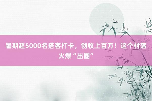 暑期超5000名搭客打卡，创收上百万！这个村落火爆“出圈”