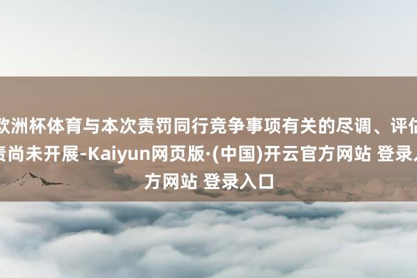 欧洲杯体育与本次责罚同行竞争事项有关的尽调、评估职责尚未开展-Kaiyun网页版·(中国)开云官方网站 登录入口