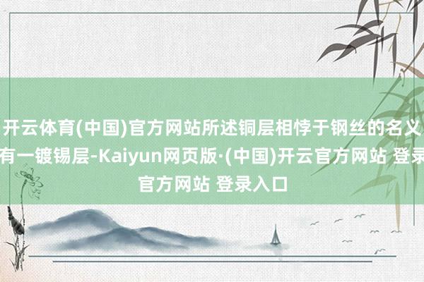 开云体育(中国)官方网站所述铜层相悖于钢丝的名义上具有一镀锡层-Kaiyun网页版·(中国)开云官方网站 登录入口